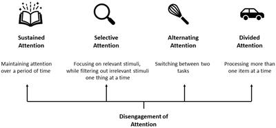 The Multifaceted Nature of Bilingualism and Attention